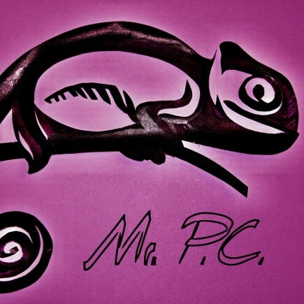 Pink Chameleon