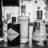 The Gin Tonic Experience // BIX Lounge