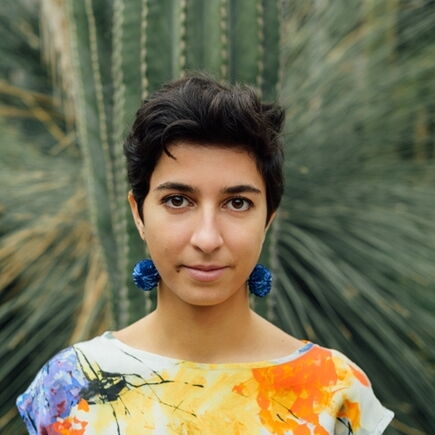 Alexandra Ivanova Trio | Beauty in Chaos