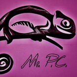 Pink Chameleon