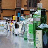 The Gin Tonic Experience