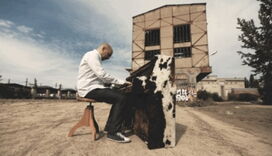 Doppelkonzert: ADHD & Studnitzky